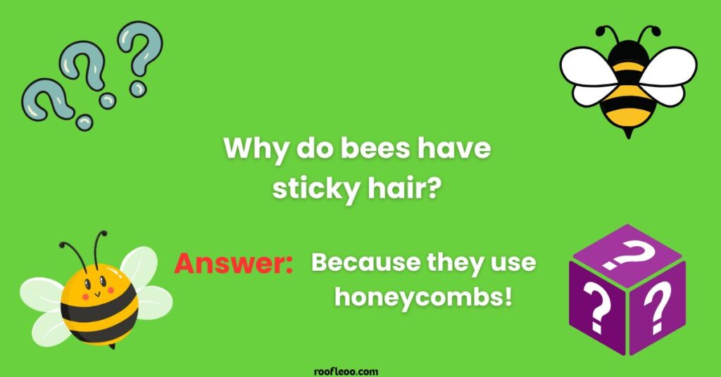 Bee Riddles for Kids with Answers