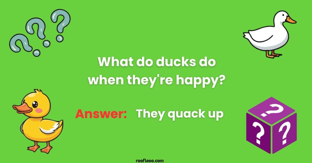 Duck Puzzles for Quick Thinkers