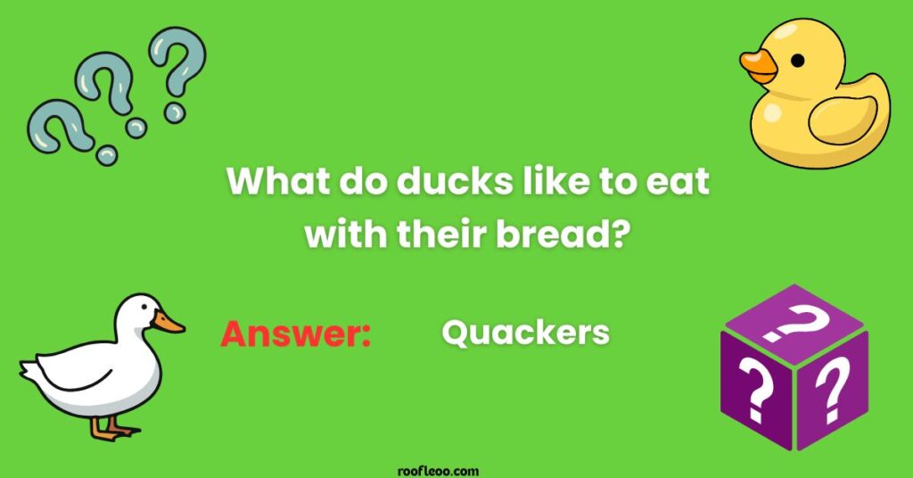 Duck Riddles for Young Bird Lovers