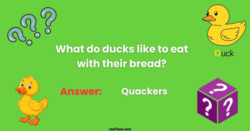 Duck Riddles for Young Bird Lovers
