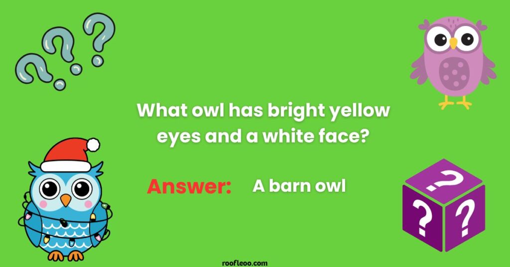 Educational Owl Riddles for Classroom Activities
