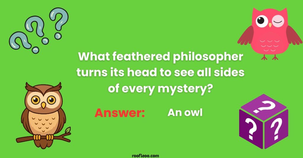 Feathered Philosophers Riddles of Wisdom and Wit