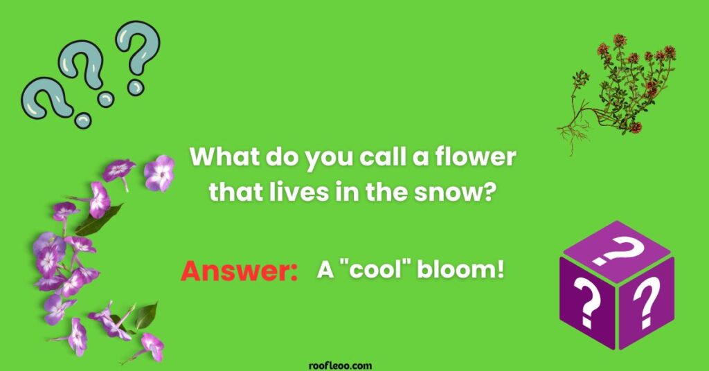 Funny Flower Riddles to Make You Smile