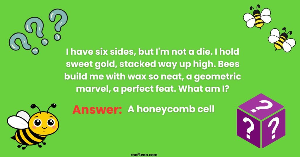 Honeycomb Wonders Riddles