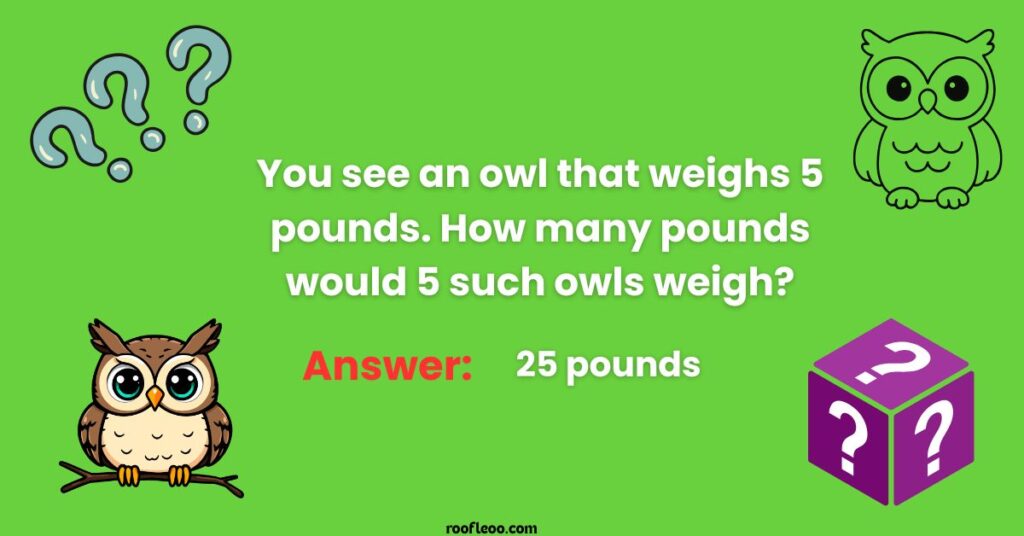 Logic and Brain Teaser Owl Riddles