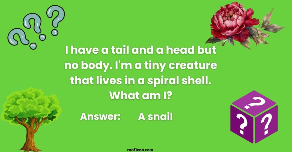 Mind-Bending Nature Puzzles with a Twist