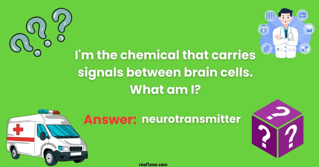 Mind Games Neurology and Brain Function
