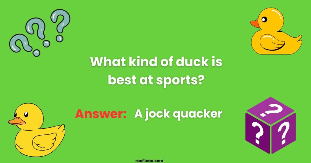 More Duck Themed Riddles with Answers