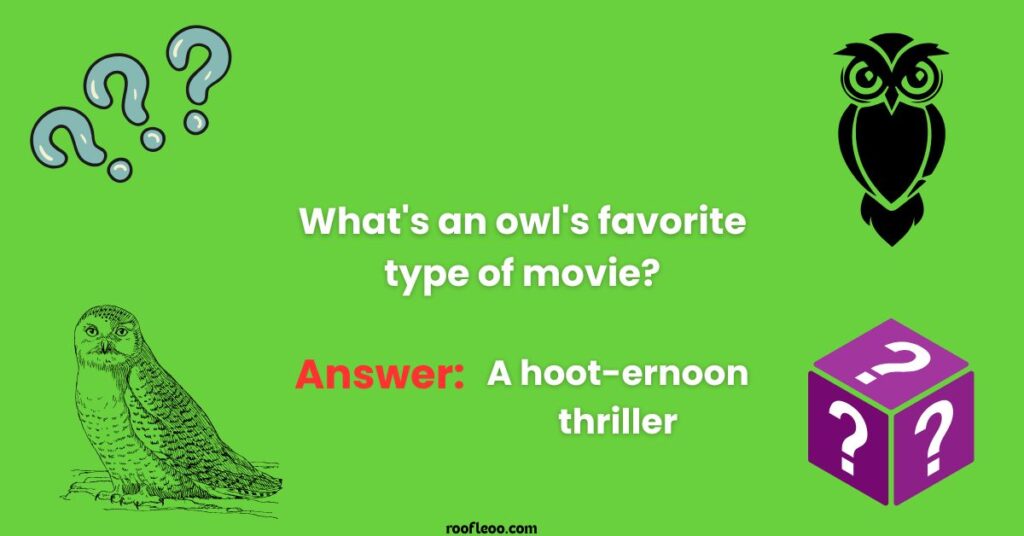 Pun-Filled Owl Riddles That Will Crack You Up