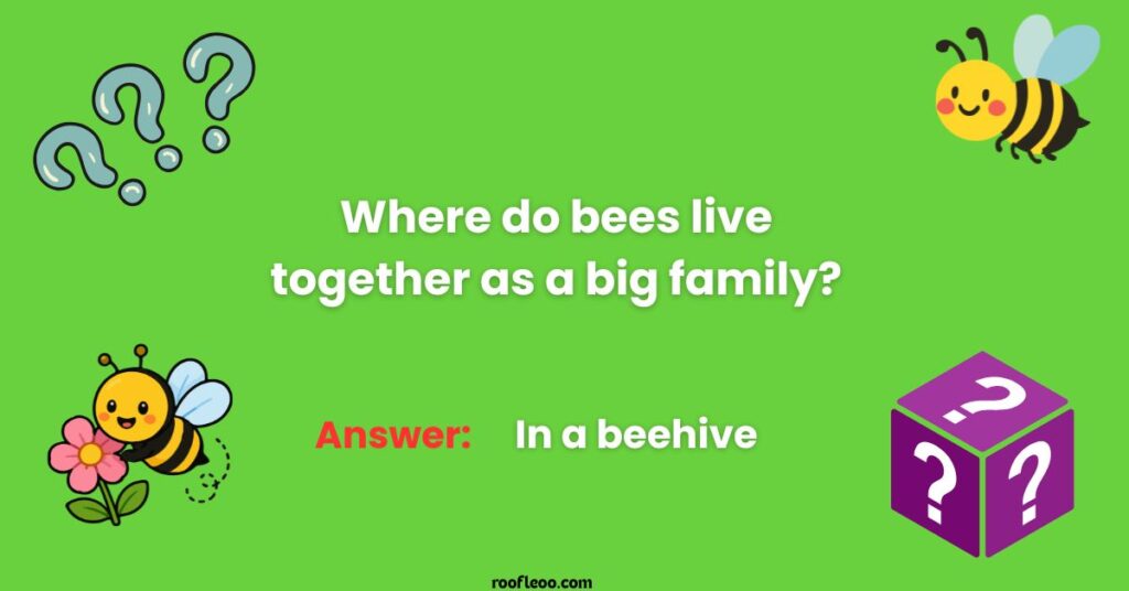 Simple Bee Puzzle Riddles for Beginners