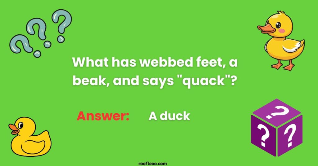 Simple Duck Puzzles for Quick Thinkers