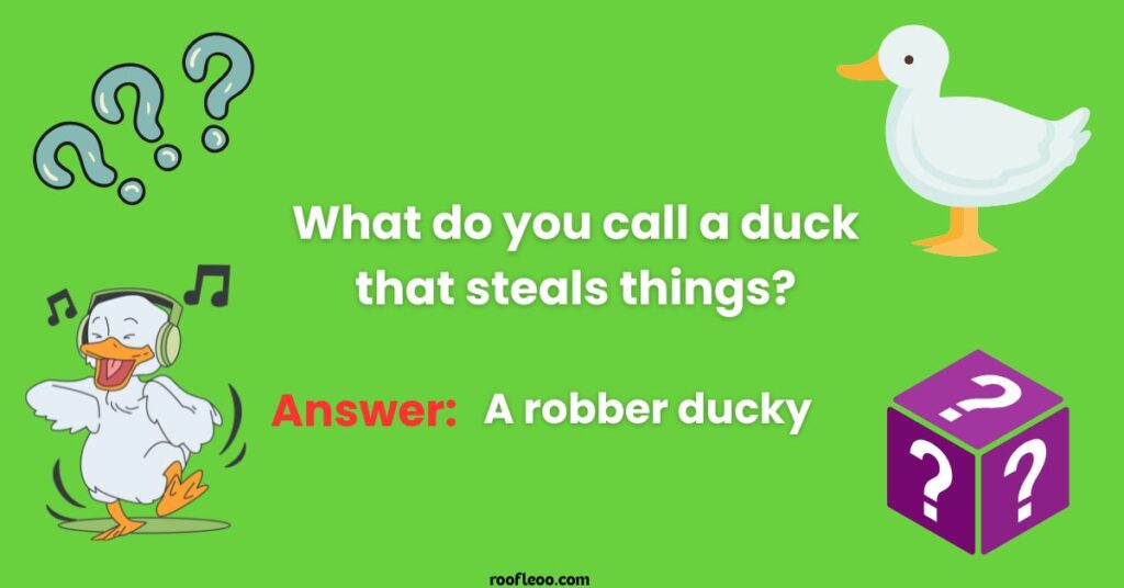Tricky Duck Riddles to Fool Your Friends