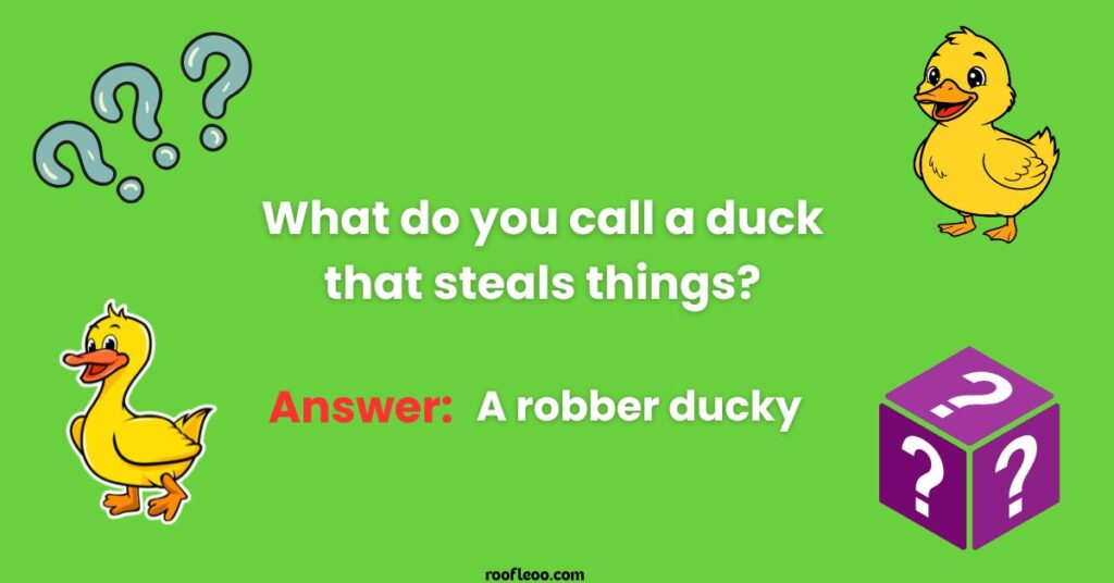 Tricky Duck Riddles to Fool Your Friends