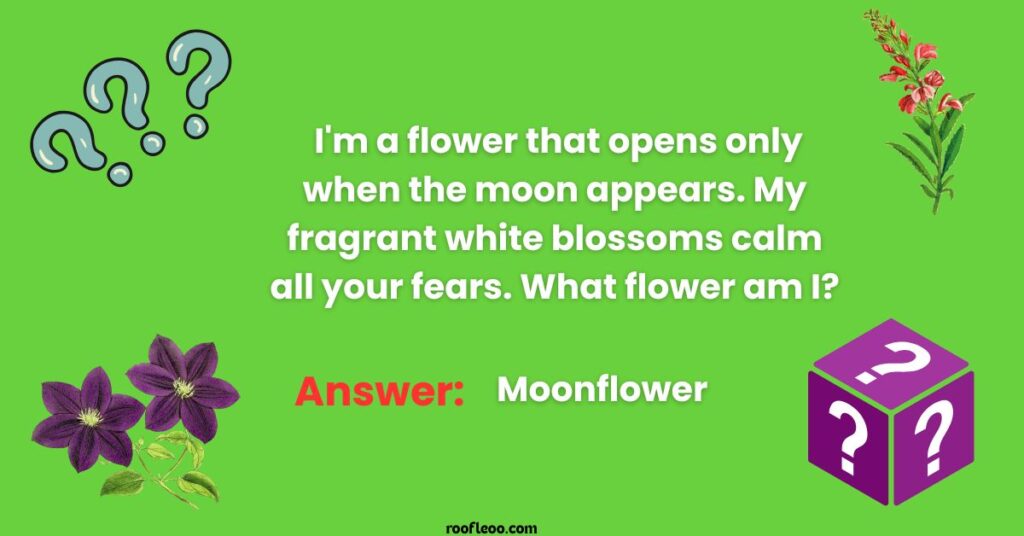 Tricky Flower Riddles to Test Your Botanical Knowledge