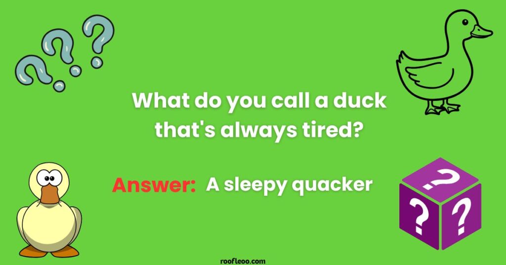 Waddling Through More Duck Riddles