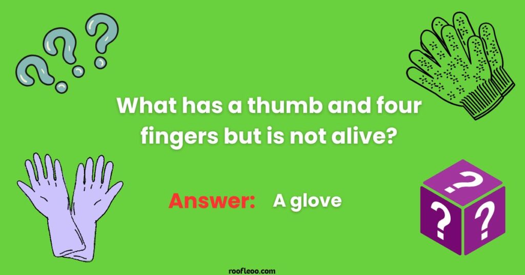 Brain Break Activities for Primary Classrooms Riddles